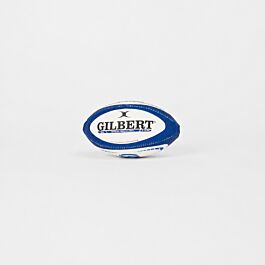DHL Stormers Replica Mini Rugby Ball