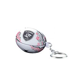 Hollywoodbets Sharks Supporter Keyring