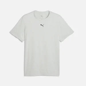 PUMA Men's Train All Day Essentials T-Shirt Créme De Mint Heather