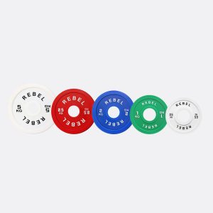 REBEL Fractional Micro Weight Plates