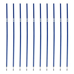 Training Pole Set with Bag